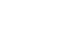 Phylum